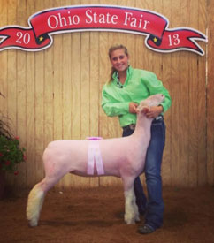 Balfanz Club Lambs Winner